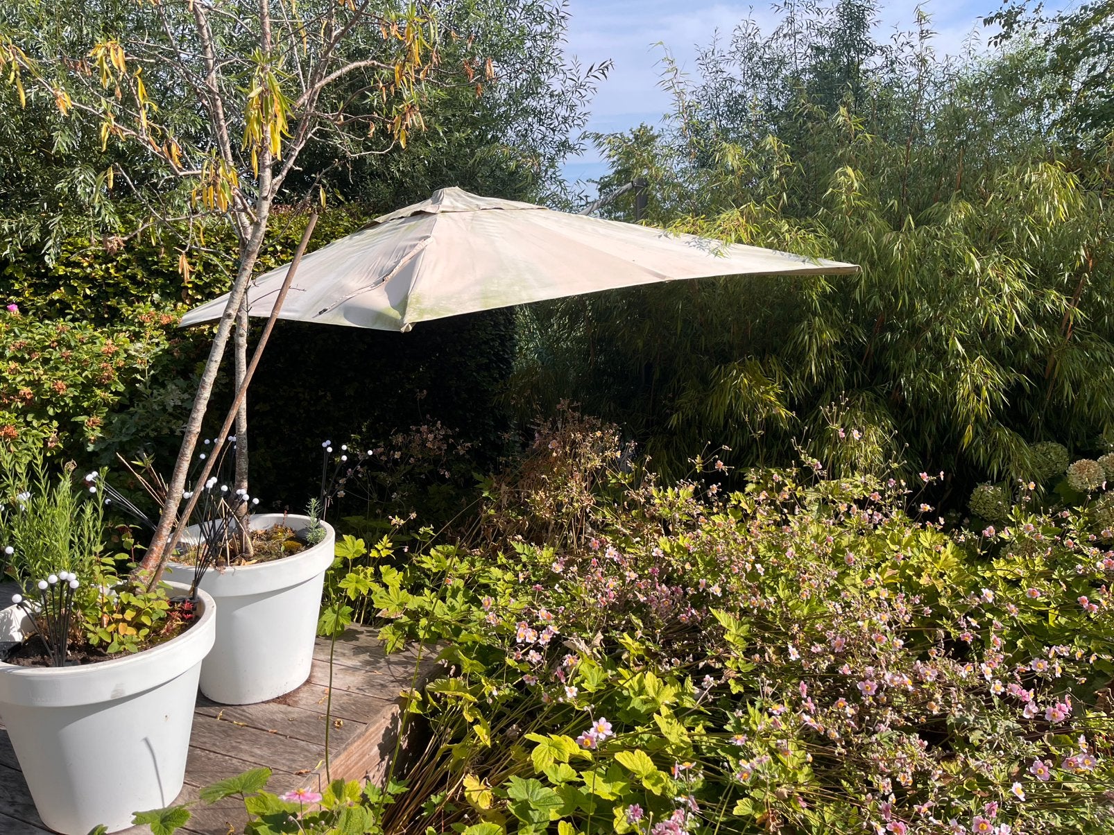 Zwevende parasol 330 cm bij 240 cm, Ophalen, Gebruikt, 3 tot 4 meter, Zweefparasol