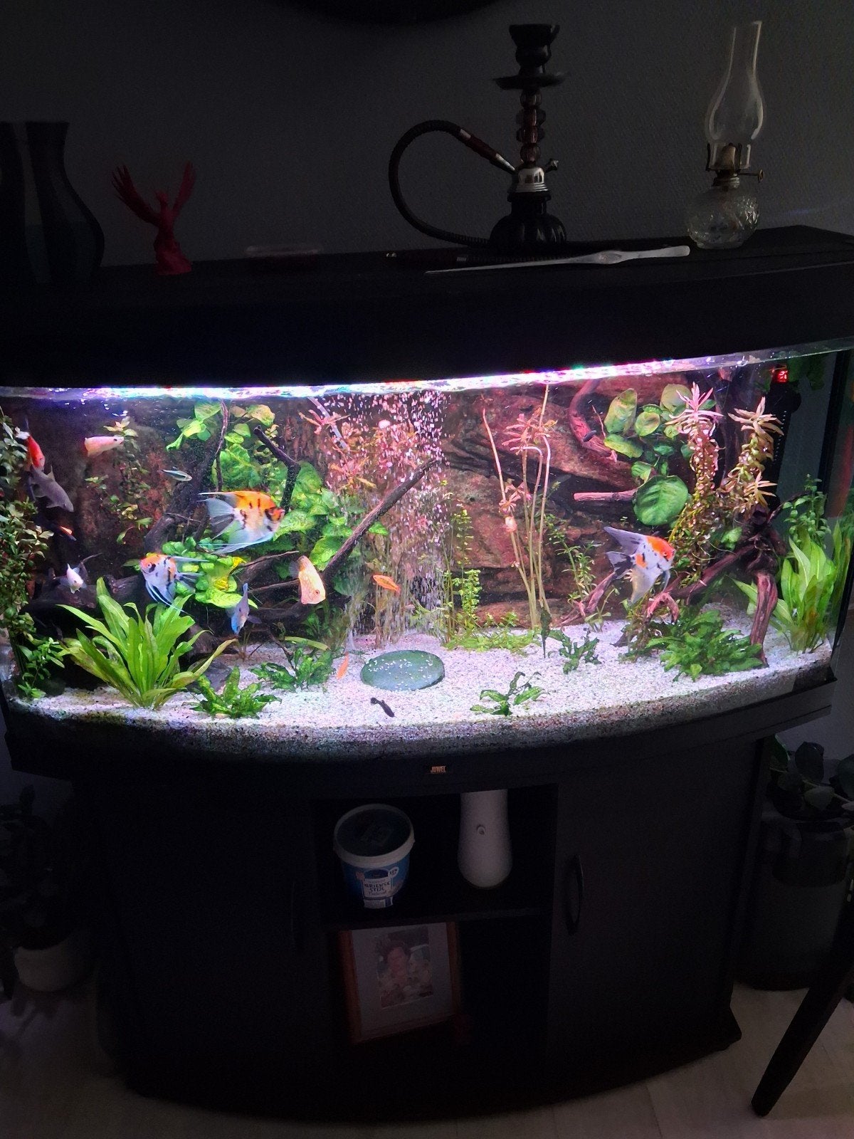 gratis aqaurium zonder onderkast zonder vissen, Dieren en Toebehoren, Ophalen, Gebruikt, Leeg aquarium
