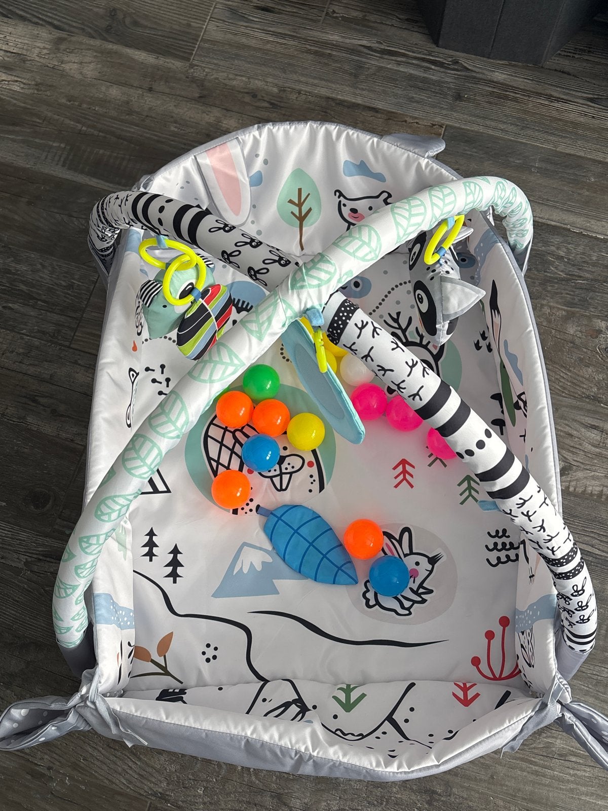 Babygym met speelkleed en ballen, Ophalen of Verzenden, Zo goed als nieuw, Babygym