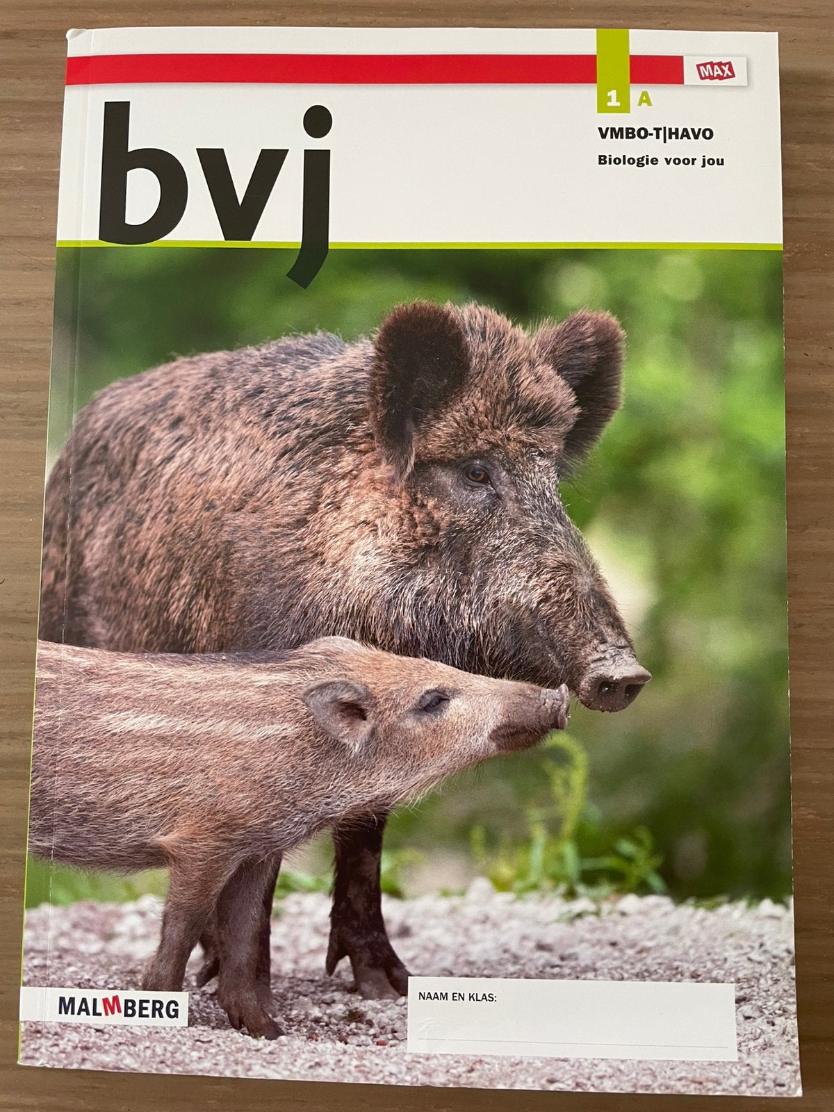 Biologie bvj VMBO-T HAVO 1A Malmberg, Boeken, Ophalen of Verzenden, Nieuw, VMBO, Biologie