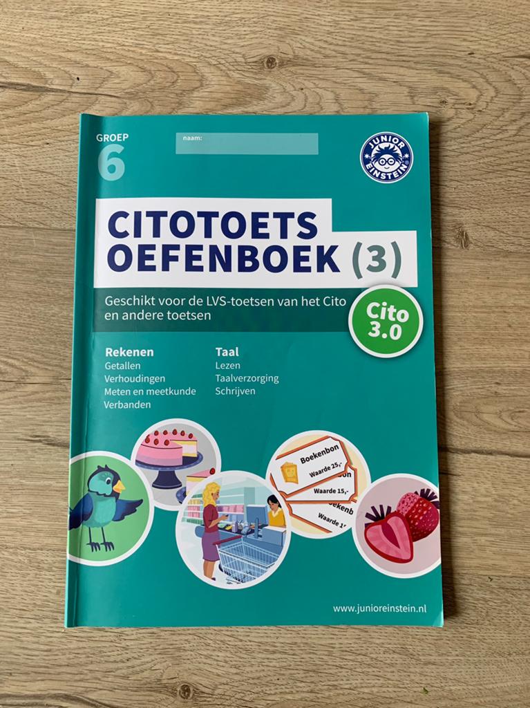 Citotoets oefenboek groep 6 (deel 3) DIGITAAL, Boeken, Schoolboeken, Ophalen, Zo goed als nieuw, Overige niveaus, Nederlands