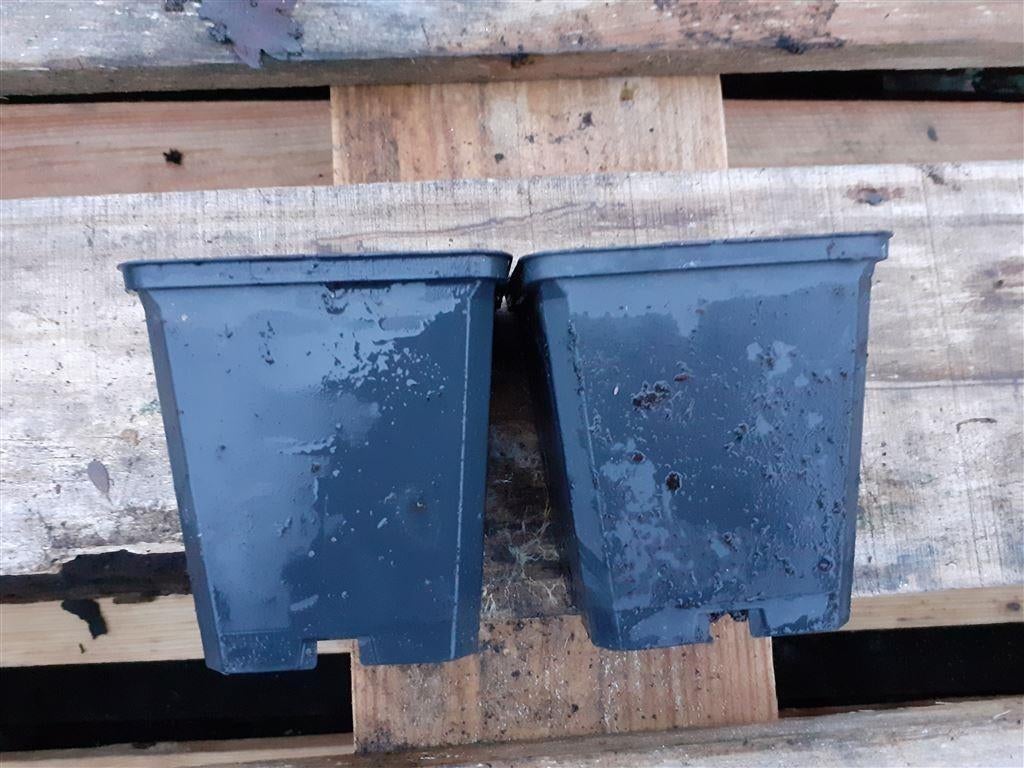 vierkante potten 9x9 cm pot 0,5 liter., Ophalen, Gebruikt, Rond, Van tiel tuinen