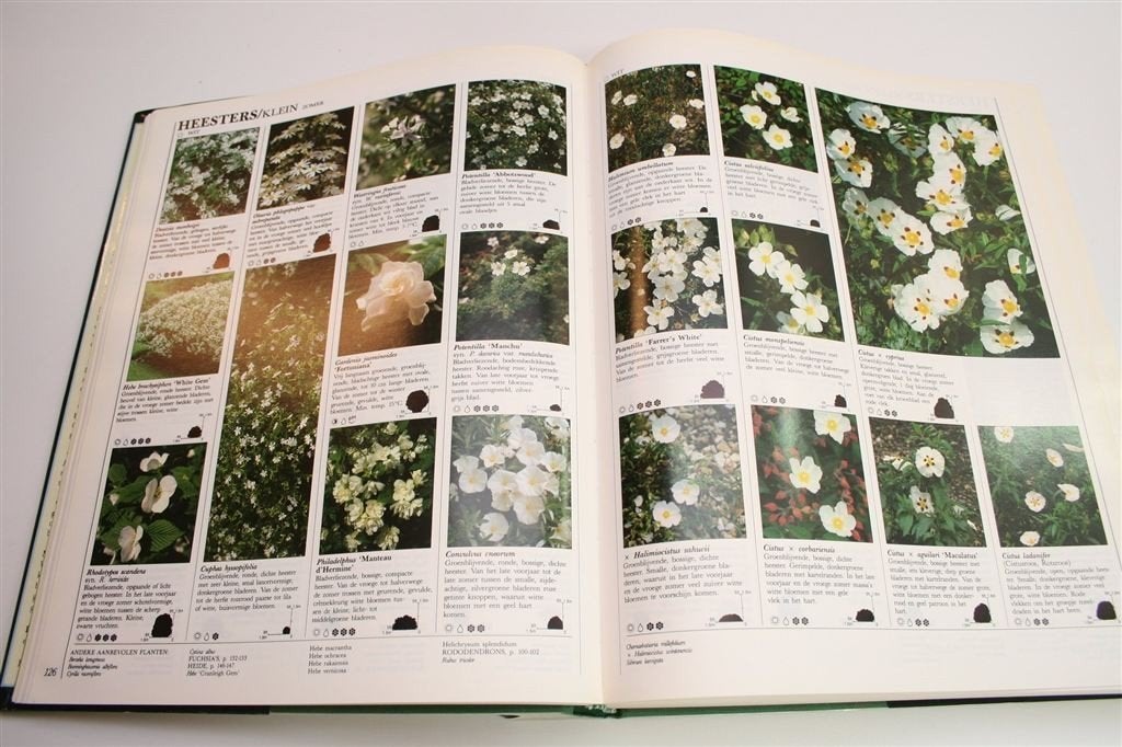 Atrium Tuinplantenencyclopedie — Hét Standaardwerk, Boeken, Ophalen of Verzenden, Gelezen, Interieur en Design