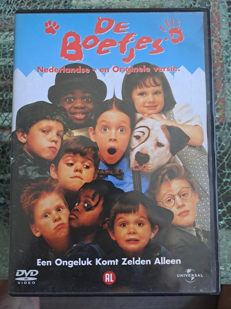 De boefjes (dvd), Cd's en Dvd's, Alle leeftijden, Ophalen of Verzenden, Zo goed als nieuw