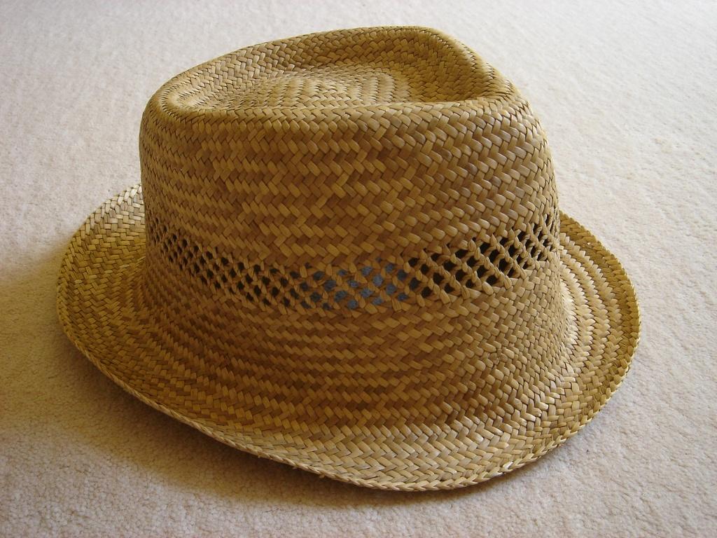 Zomerse heren strohoed - NIEUW/ONGEBRUIKT, Kleding | Heren, Hoeden en Petten, Ophalen of Verzenden, Nieuw, 58 of 59 cm (L, 7¼ of ⅜ inch)
