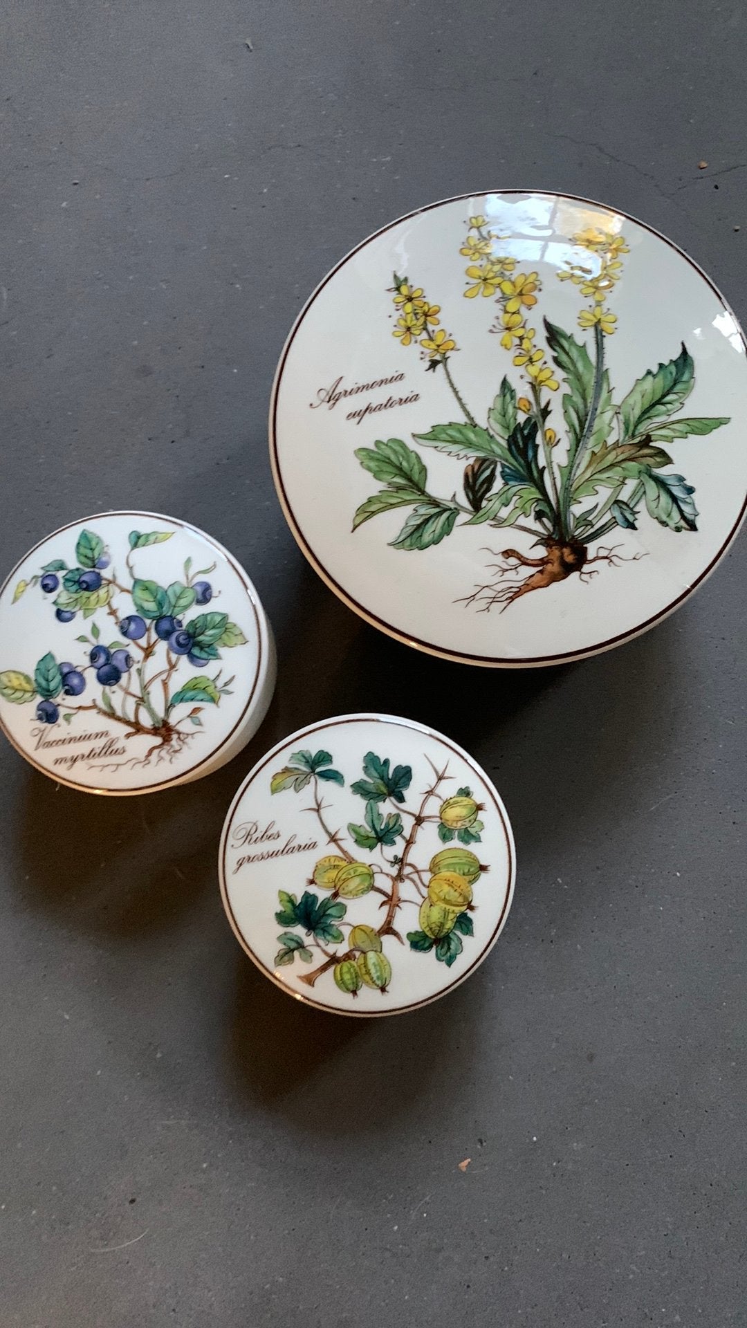 Villeroy & Boch Botanica doosjes zgan, Ophalen, Zo goed als nieuw, Porselein, Bord of Schaal