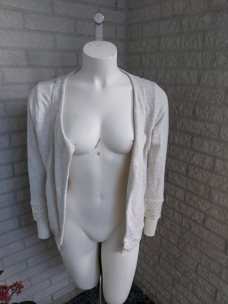 Grijs jasje van Maison Scotch maat S, Zo goed als nieuw, Jasje, Maat 36 (S), Grijs