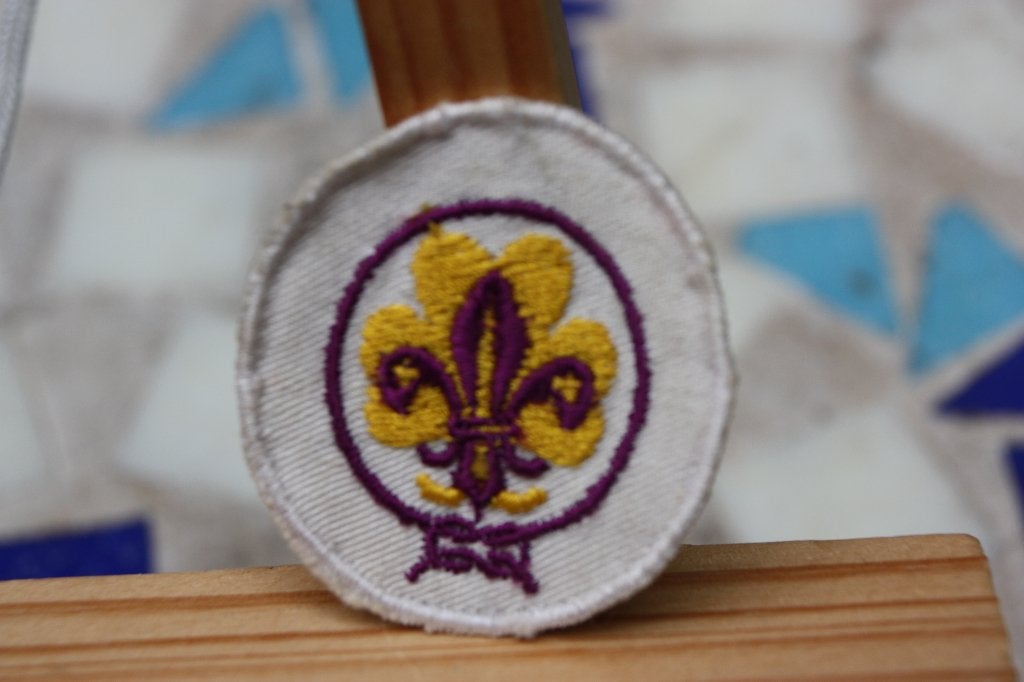 Installatie badge Scouting Nederland in goede staat, Verzamelen, Scouting, Ophalen of Verzenden, Gebruikt, Embleem, Speld of Insigne