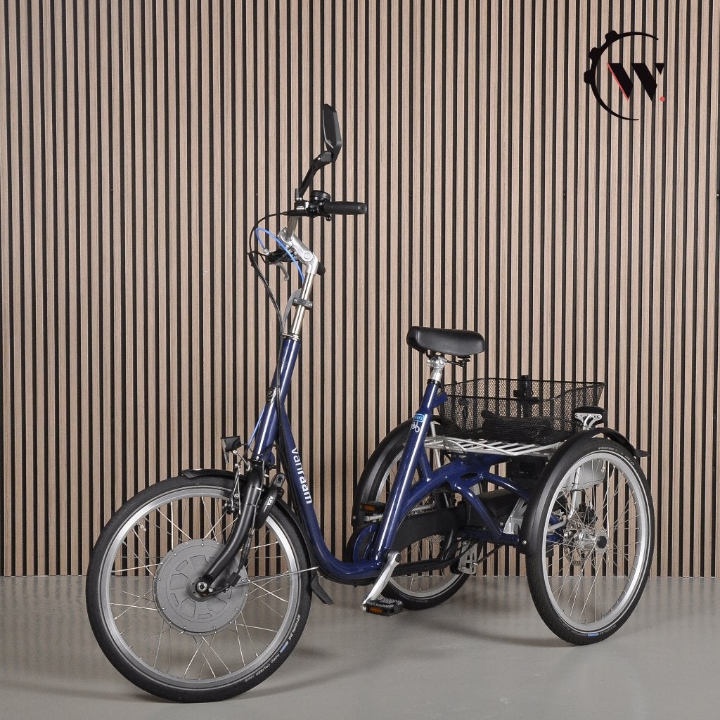 Van Raam Maxi Driewielfiets E-bike met extra grote accu, Ophalen, Gebruikt, Schijfrem, Van Raam