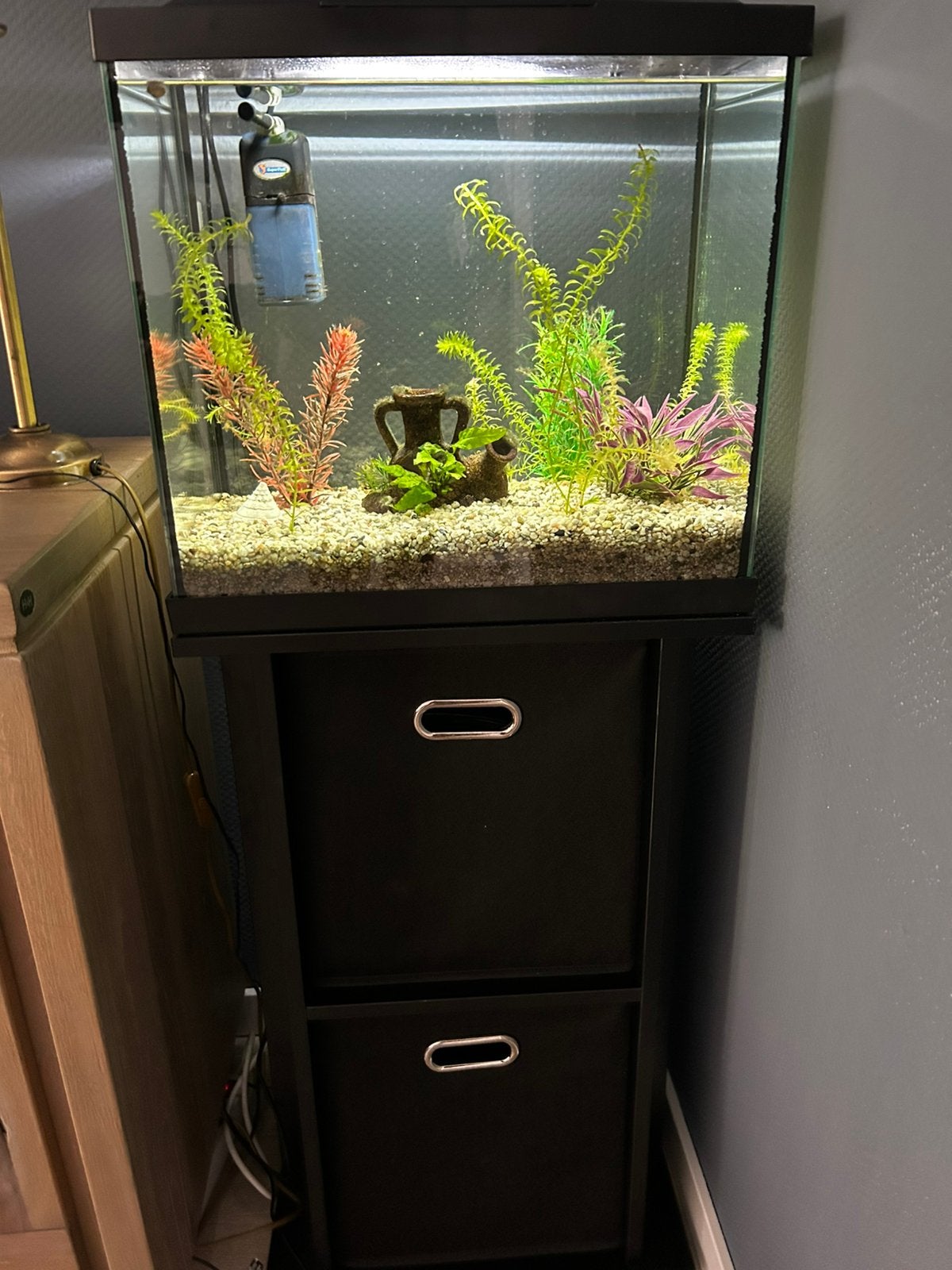 Starters aquarium, Dieren en Toebehoren, Ophalen, Zo goed als nieuw, Leeg aquarium