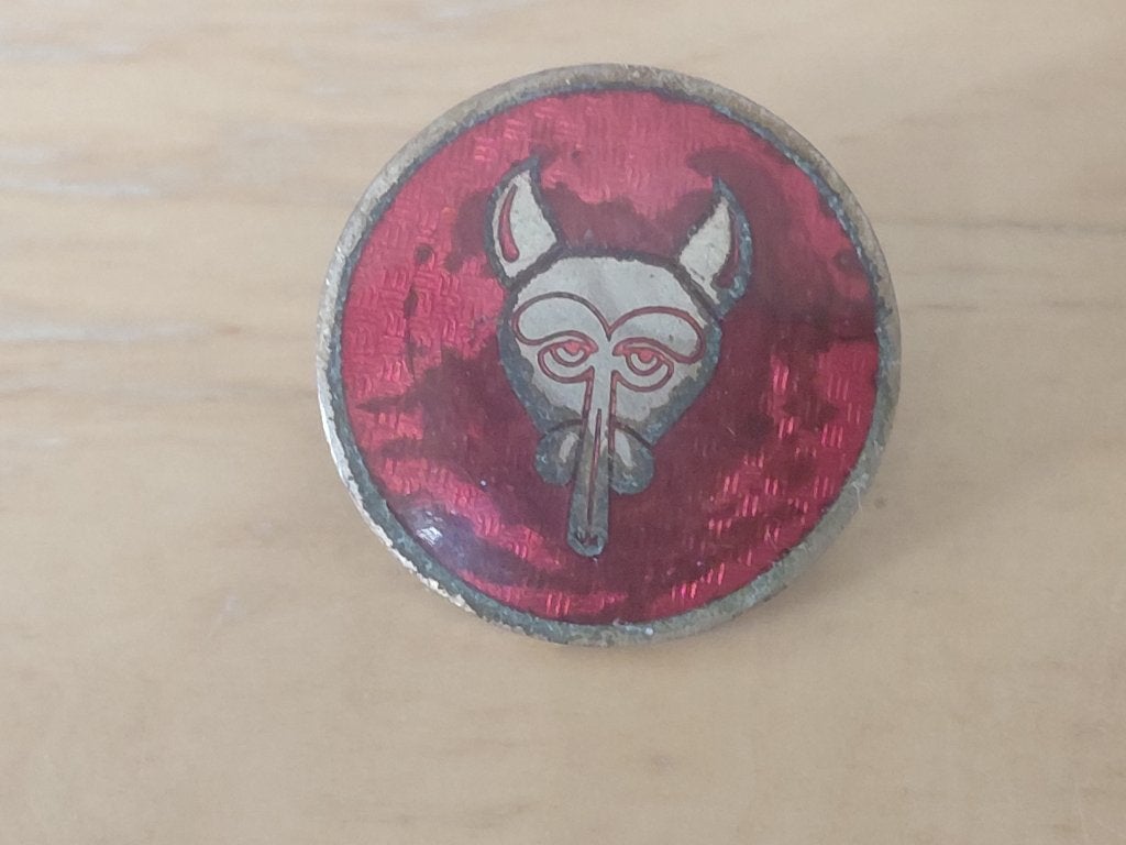 Pet embleem Scouting, geëmailleerd, diameter 3cm., Verzamelen, Ophalen of Verzenden, Gebruikt, Embleem, Speld of Insigne