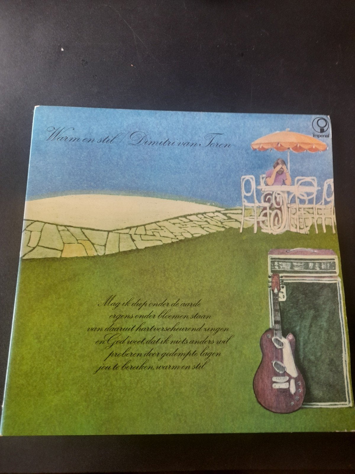 Warm en stil - Dimitri van Toren, Ophalen of Verzenden, Gebruikt, 12 inch, Volksmuziek