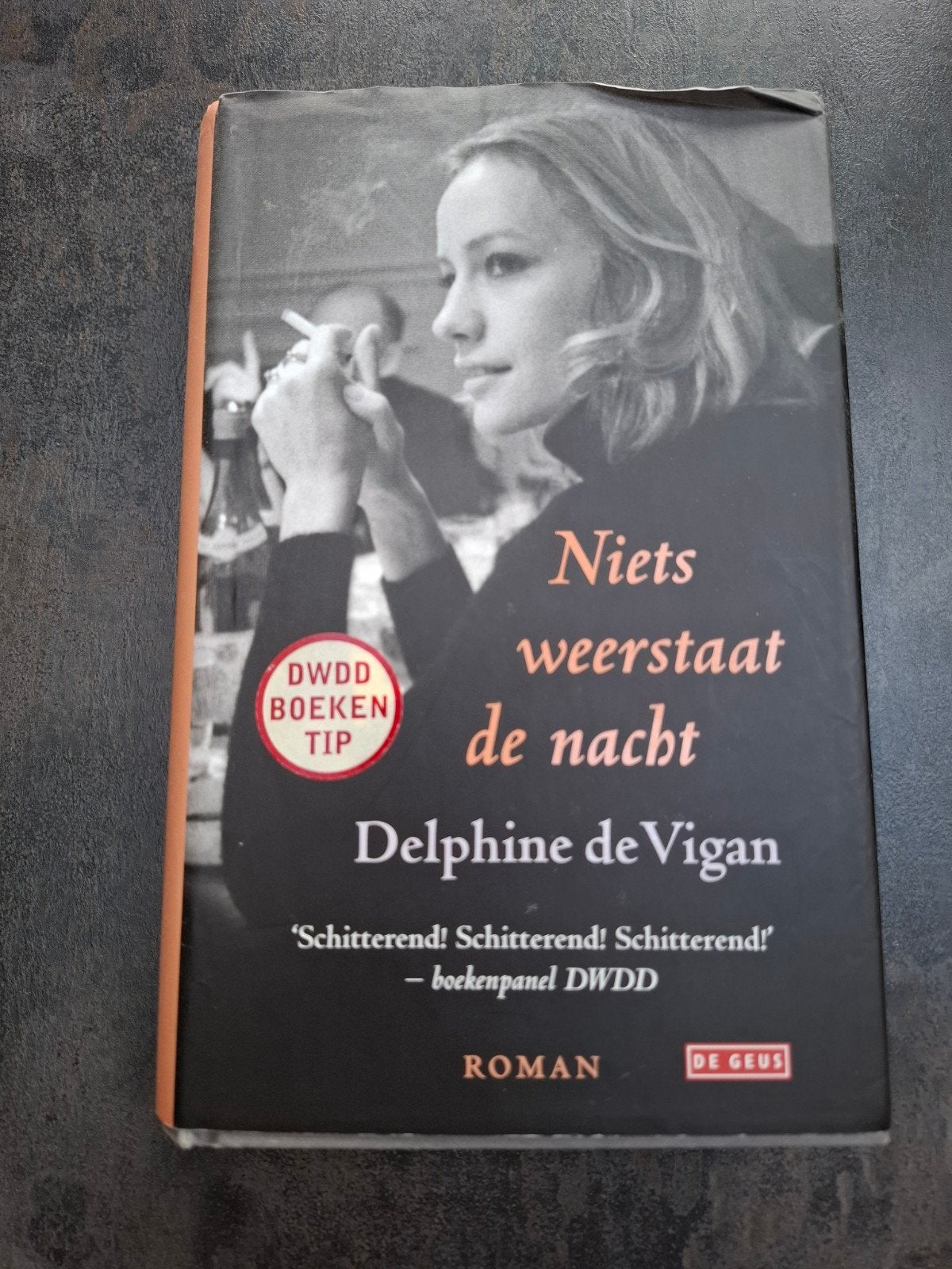 Delphine de Vigan - Niets weerstaat de nacht