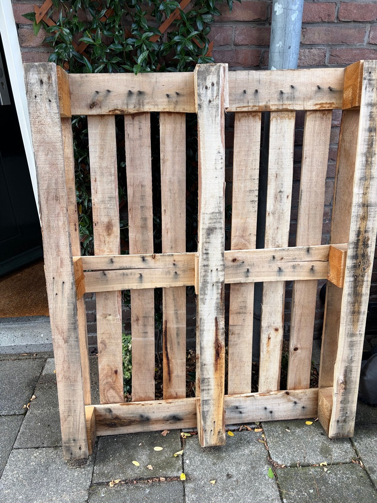 houten pallet, Ophalen, Gebruikt, 25 tot 50 mm, Pallet