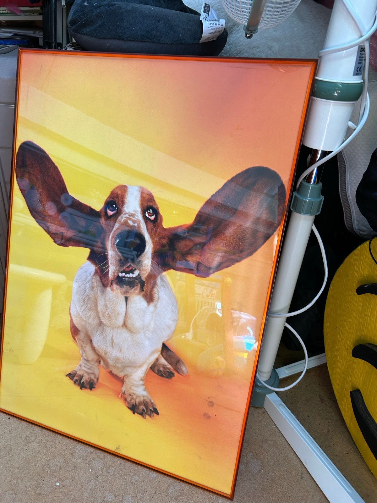 Grappige Basset Hound Poster met Grote Oren, Ophalen, 50 – 75, Gebruikt, Foto of Poster