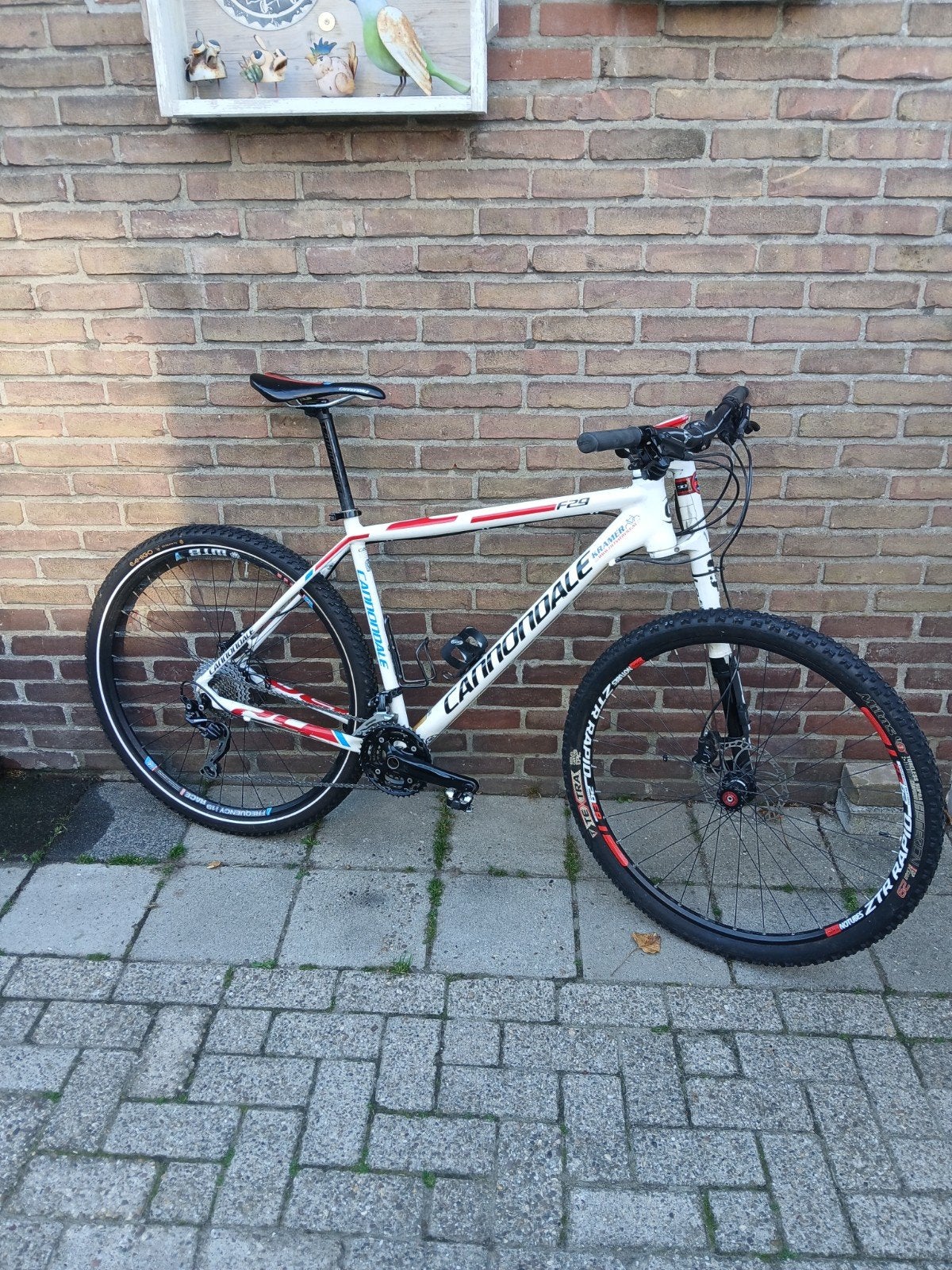 29er Cannondale [XL] Mountainbike in Nette Staat, Ophalen, Gebruikt, Overige typen