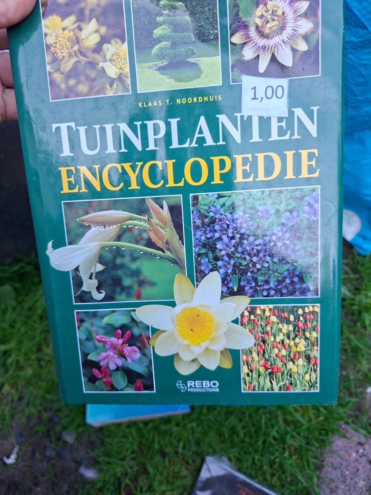Tuinplanten Encyclopedie - Klaas T. Noordhuis, Ophalen of Verzenden, Zo goed als nieuw, Klaas T. Noordhuis, Tuinieren en Tuinplanten