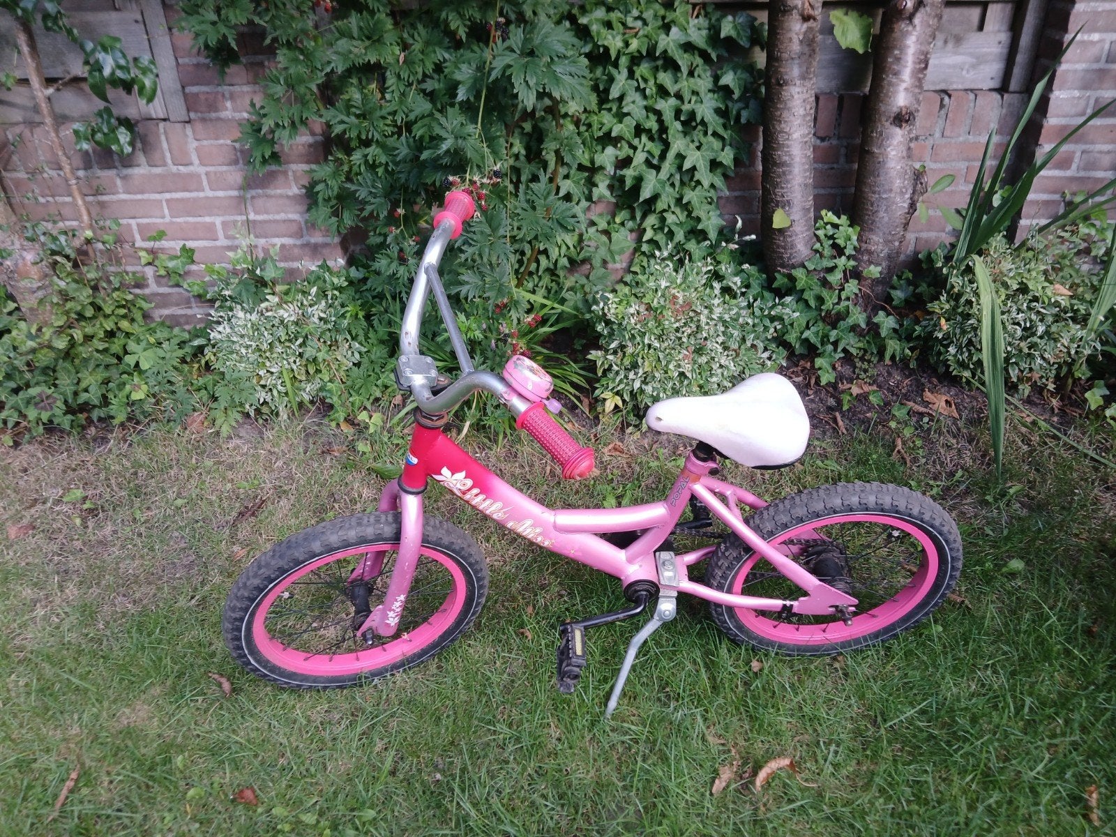 Roze kinderfiets 16 inch - t.e.a.b., Ophalen, Terugtraprem, Popal, 16 tot 20 inch