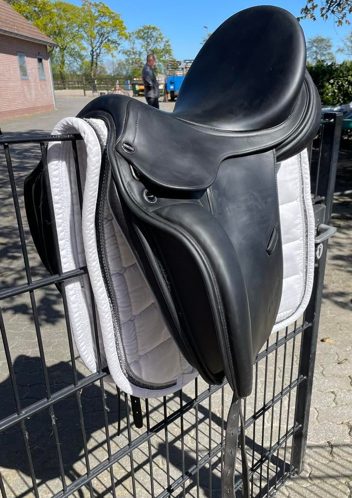 Erreplus Adelinde, Dieren en Toebehoren, Ophalen, Zo goed als nieuw, Dressuur