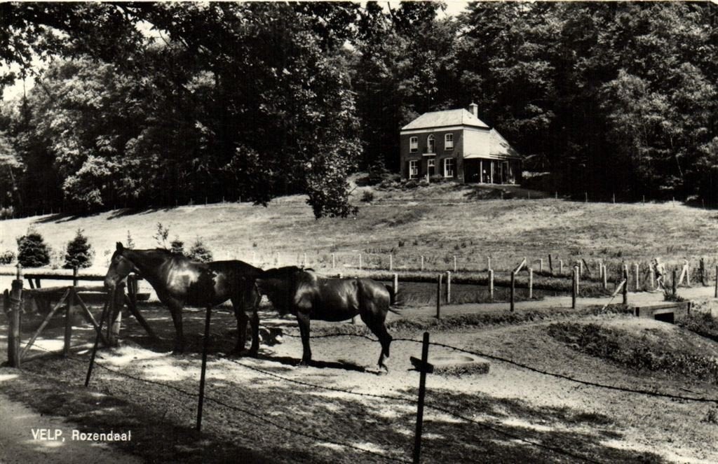 Velp, Rozendaal - paarden - 1966? gelopen, Ophalen of Verzenden, 1960 tot 1980, Gelopen, Gelderland