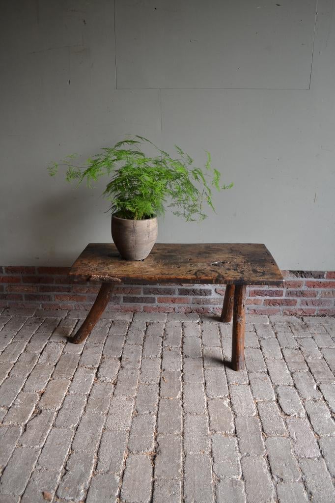 Prachtige antieke eiken houten salontafel, plantentafel., Verzenden