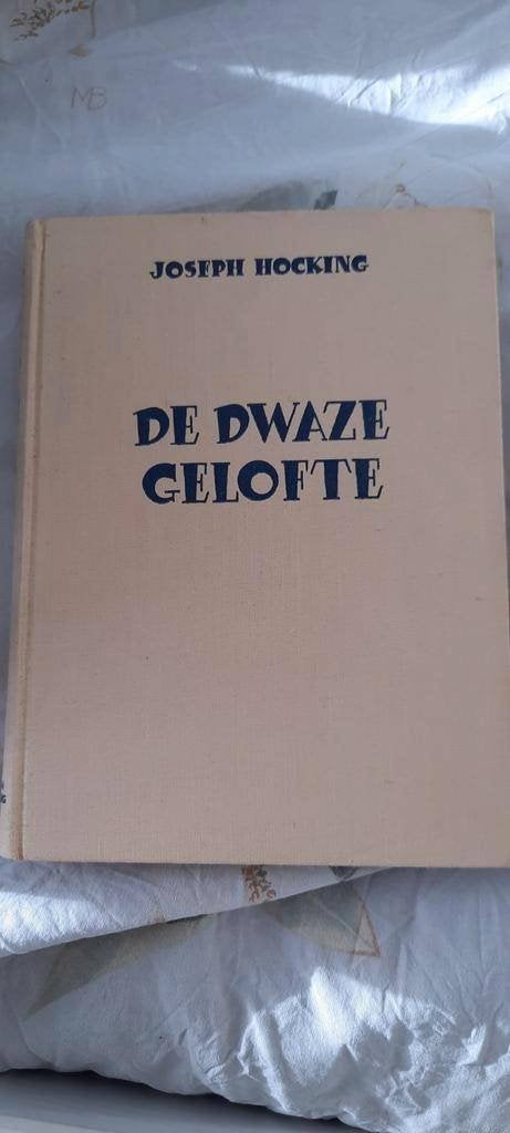 de dwaze gelofte door joseph hocking, Boeken, Ophalen of Verzenden, Zo goed als nieuw, Joseph hocking, Nederland