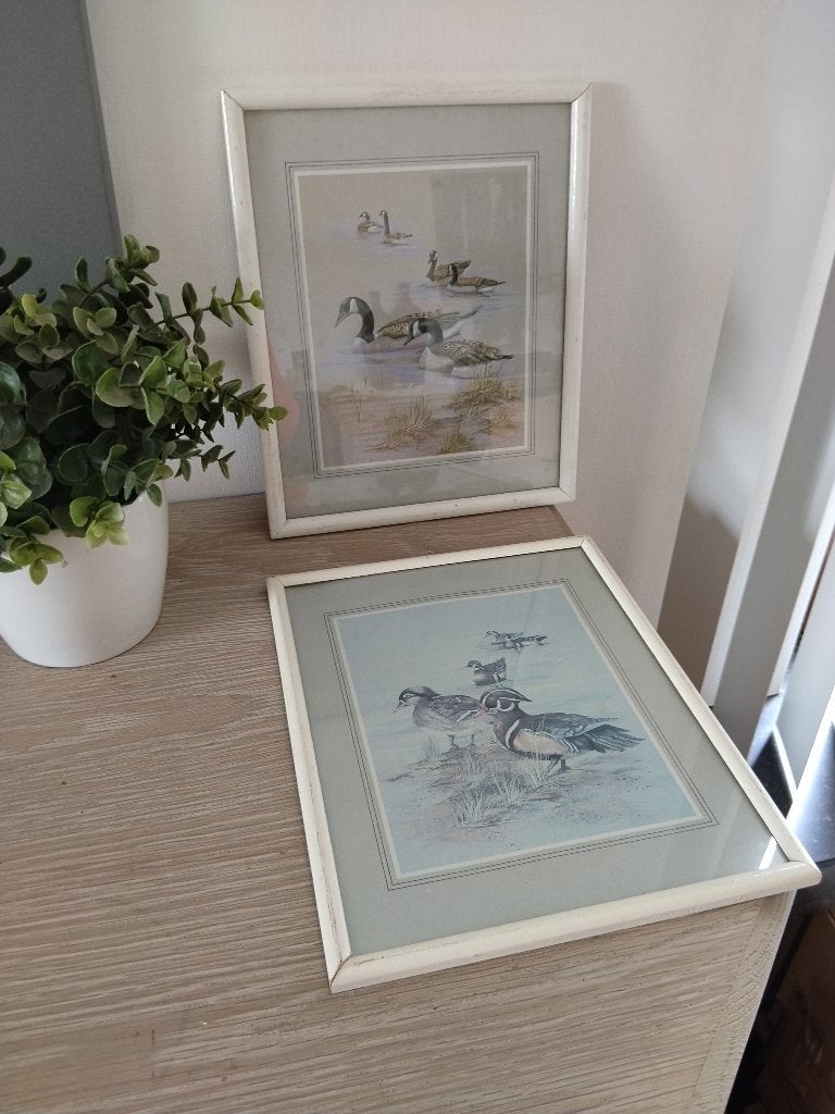 2 houten kaders met prent in achter glas eenden, Ophalen of Verzenden, Gebruikt, Achter glas, Hout