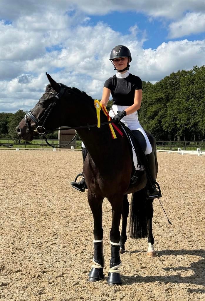Instructrice aangeboden/ paarden training aangeboden