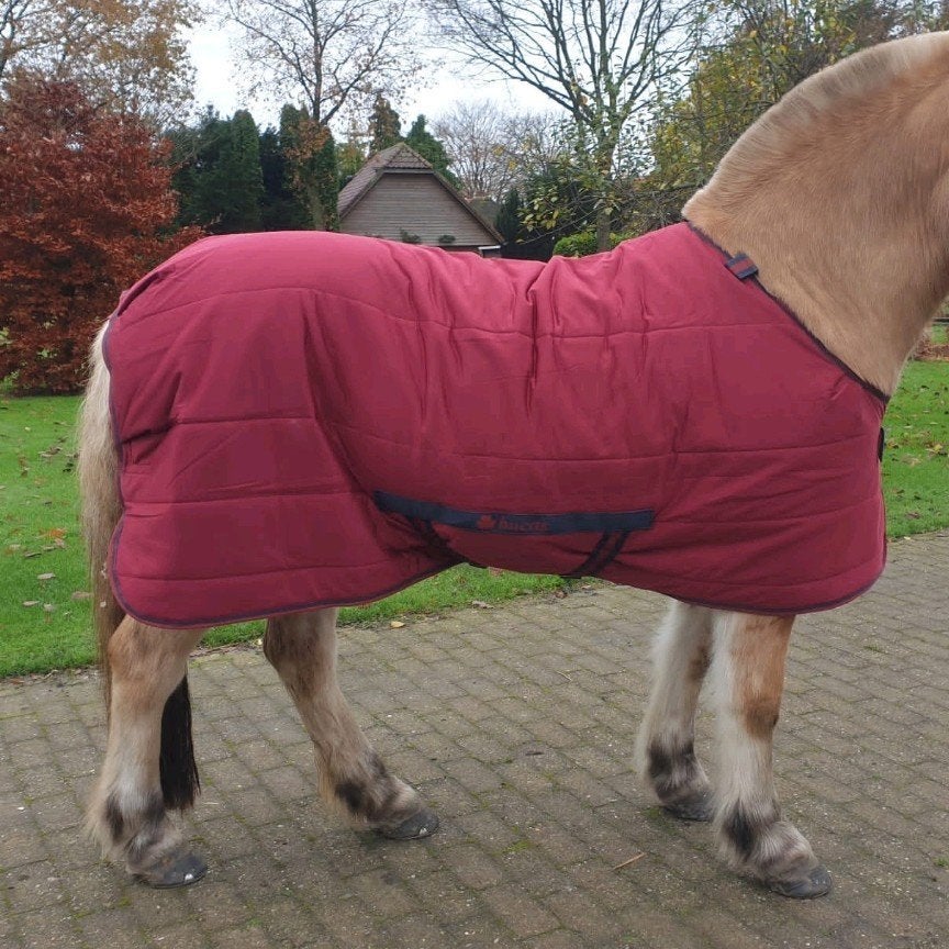 bucas quilt staldeken/onder deken/ droogdeken, Bucas, Rood, Ophalen of Verzenden, Zo goed als nieuw