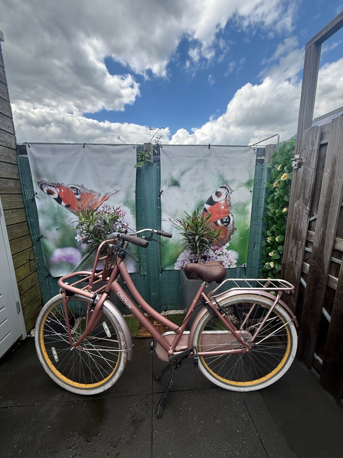 Roze transportfiets met voordrager en terugtraprem, Fietsen en Brommers, Terugtraprem, Gebruikt, 50 tot 53 cm, Ophalen