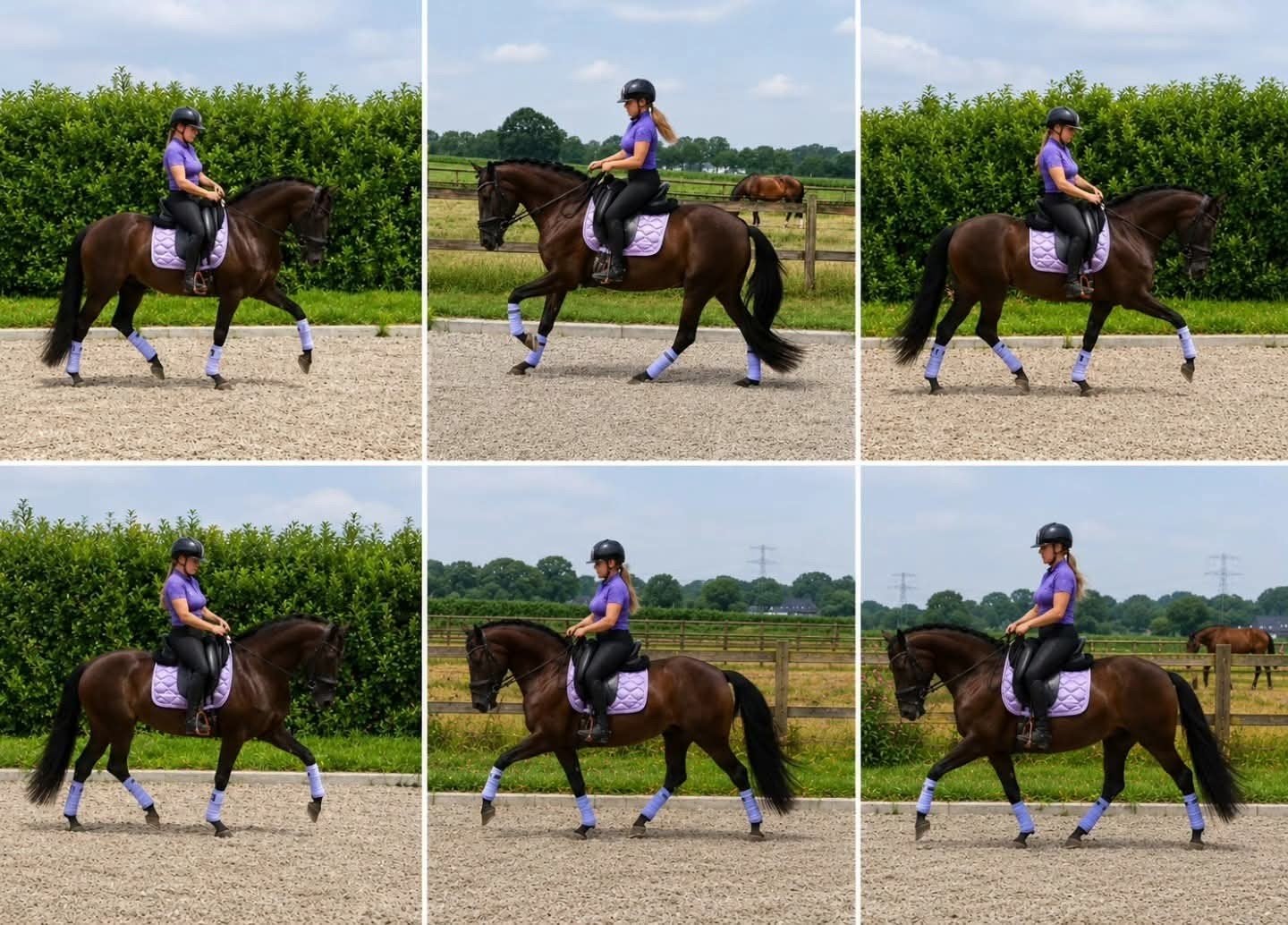 Verliefd worden gegarandeerd!… bizar lieve merrie ️, Dieren en Toebehoren, Paarden, Merrie, Dressuurpaard, 3 tot 6 jaar