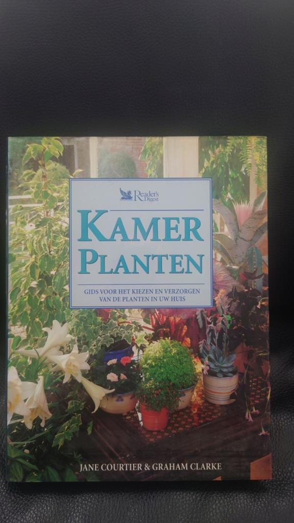 planten huiskamer, Ophalen of Verzenden, Zo goed als nieuw