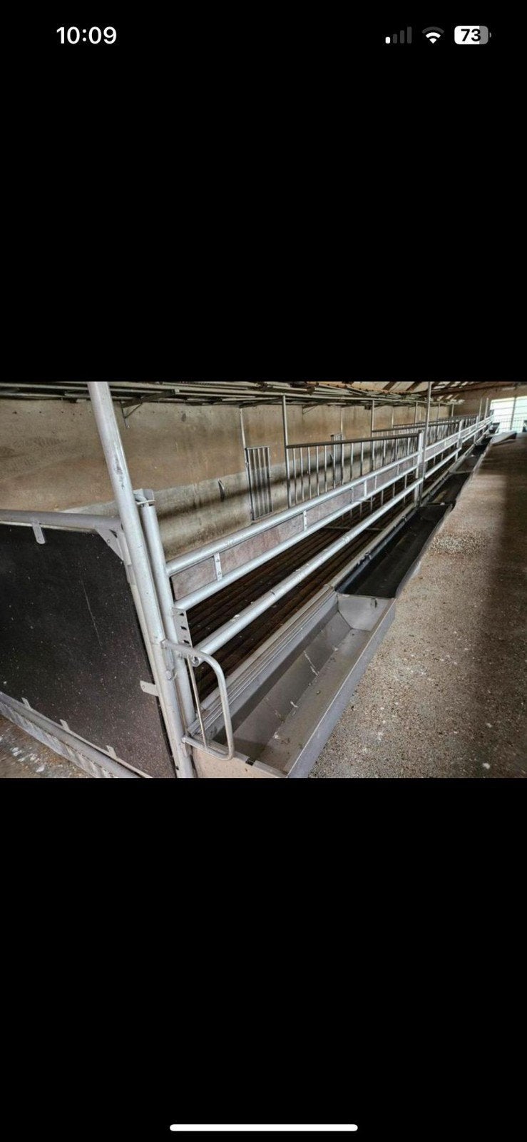 kalverstal inrichting, Dieren en Toebehoren
