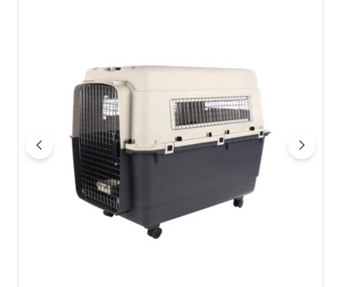 Grote Xl transportbox voor hond ( vliegtuig), Ophalen of Verzenden, Gebruikt