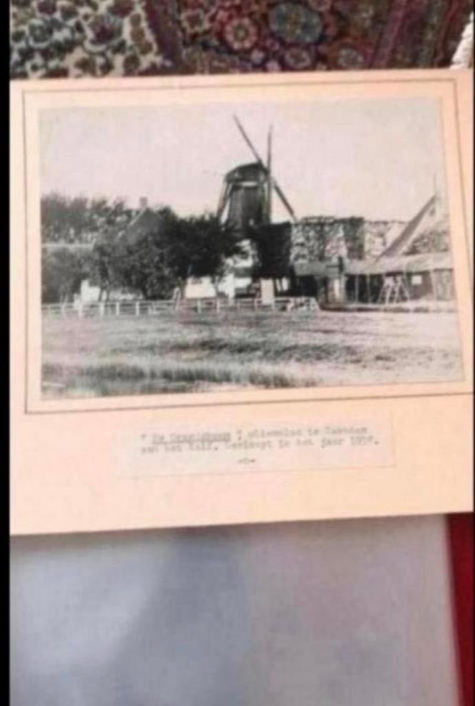 Foto oliemolen 'De Oranjeboom' aan 't Kalf, Zaandam (1938), Antiek en Kunst, Ophalen of Verzenden