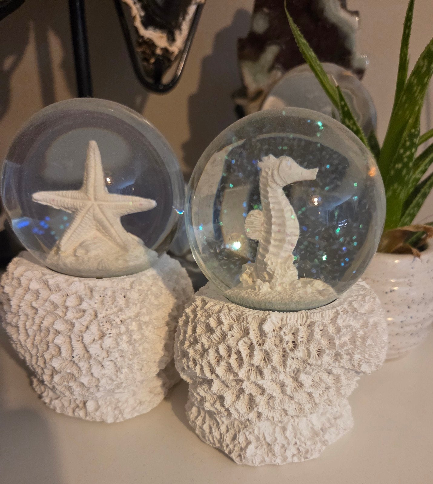 2 snowglobes zeepaardje en zeester, Huis en Inrichting, Woonaccessoires | Overige, Zo goed als nieuw, Steen/keramiek, Wit, Overige stijlen