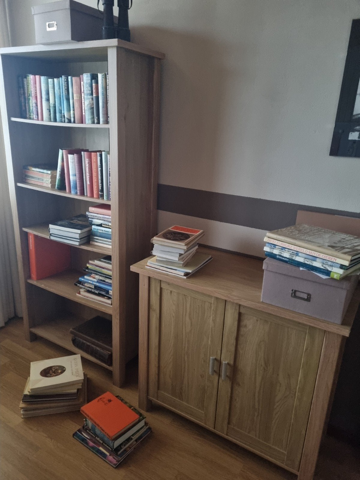 Boekenkast en klein kastje, Huis en Inrichting, Ophalen, 25 tot 50 cm, 50 tot 100 cm, Minder dan 100 cm