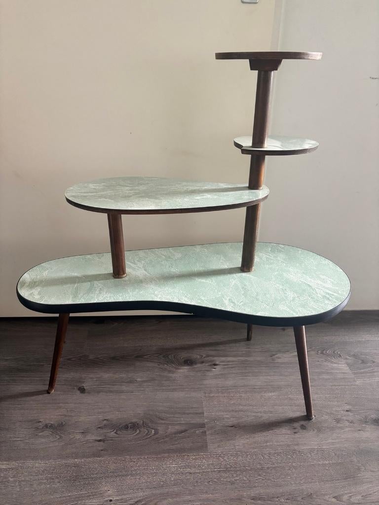 Vintage plantentafel jaren 60, Ophalen, Vintage, Zo goed als nieuw, 75 cm of meer