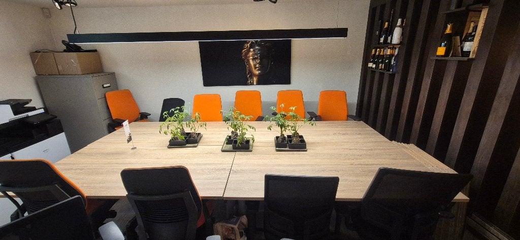 Mooie bureaustoelen - gratis ophalen, Ophalen, Gebruikt, Stoel