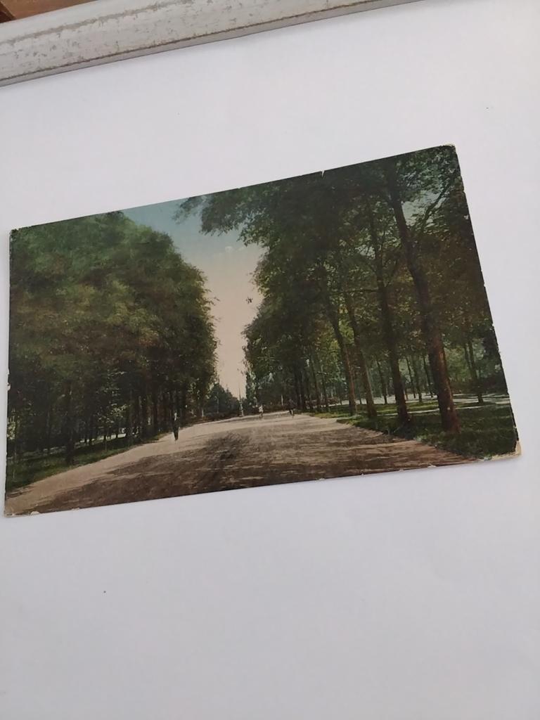 NIJMEGEN.  CANISIUSSINGEL, Ophalen of Verzenden, Voor 1920, Gelderland