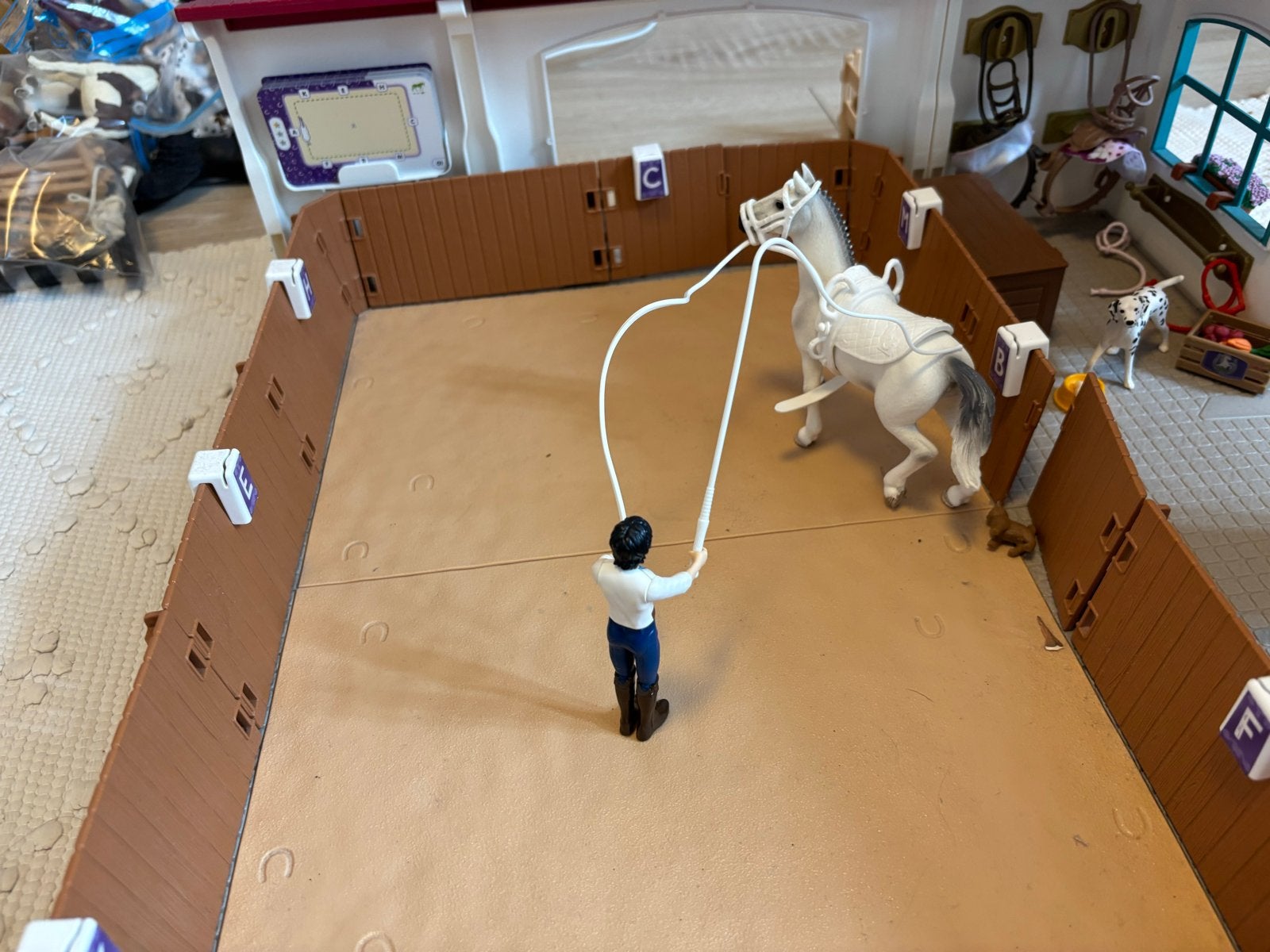 Schleich Manege met paarden en accessoires, Kinderen en Baby's, Speelgoed | Overig, Gebruikt, Jongen of Meisje, Ophalen of Verzenden