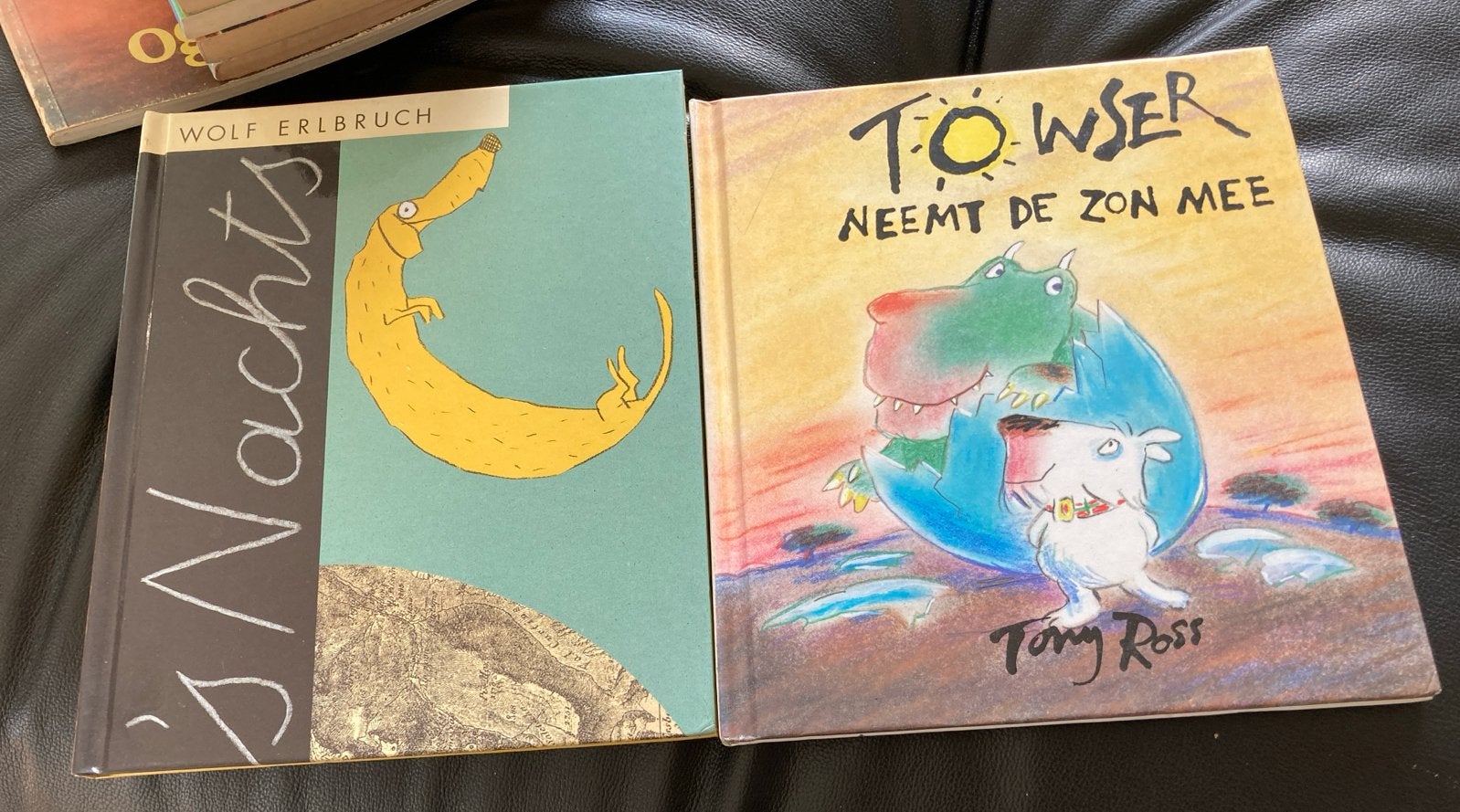 2 kinderboeken: 's Nachts (Wolf Erlbruch) & Towser (Tony Ros, Ophalen of Verzenden, Zo goed als nieuw, Fictie algemeen