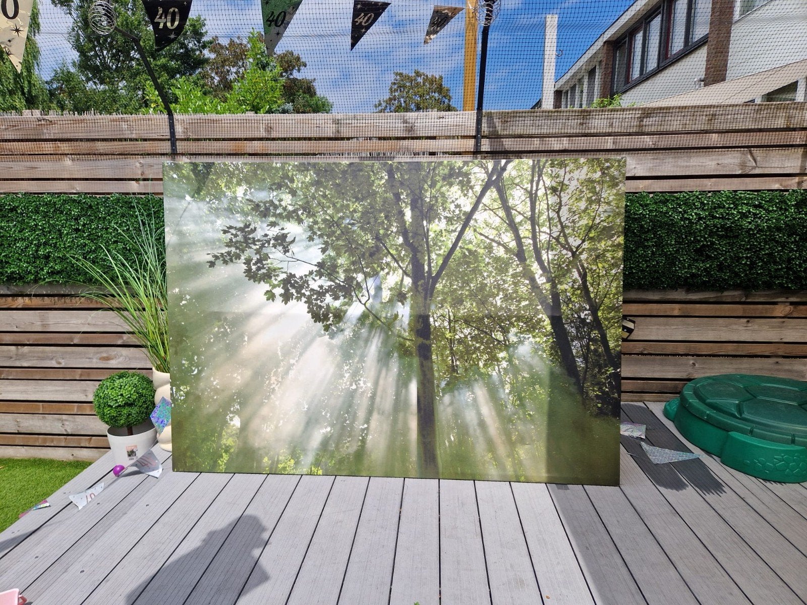 IKEA BJÖRKSTA Bos Doek op spanning - Zonlicht in het bos, Ophalen, 125 cm of meer, 75 – 100, Print