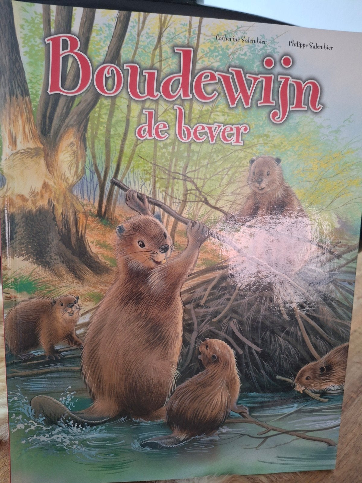 Boudewijn de Bever - Een avontuurlijk kinderboek, Ophalen of Verzenden, Zo goed als nieuw, Catherine Salembier, Philippe Salembier