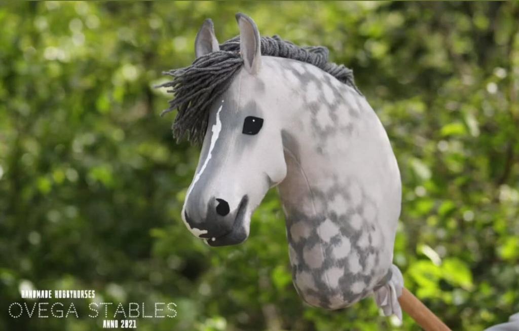 Ovega hobbyhorse, Ophalen of Verzenden, Zo goed als nieuw