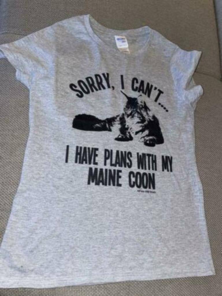 Shirt tshirt grijs grijze xs Maine Coon kat kattenshirt main, Verzenden, Zo goed als nieuw, Korte mouw, Maat 34 (XS) of kleiner
