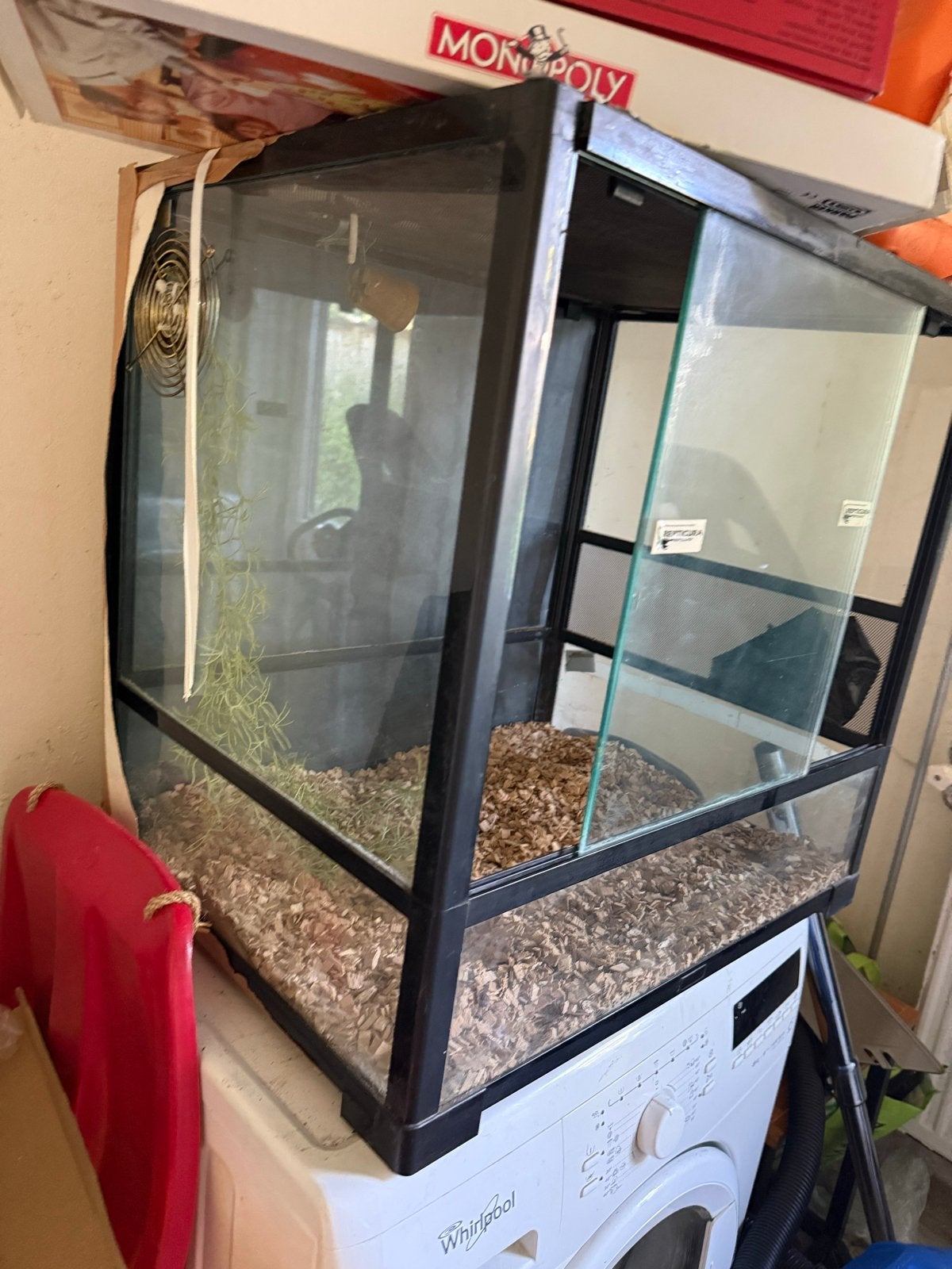 Terrarium, zelf gebruikt om slang te voeren, Ophalen, Gebruikt, Terrarium of Paludarium