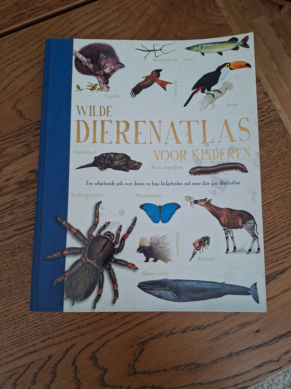 Wilde Dierenatlas voor Kinderen - Rebo Productions, Ophalen of Verzenden, Zo goed als nieuw, Natuur algemeen, Rebo Productions