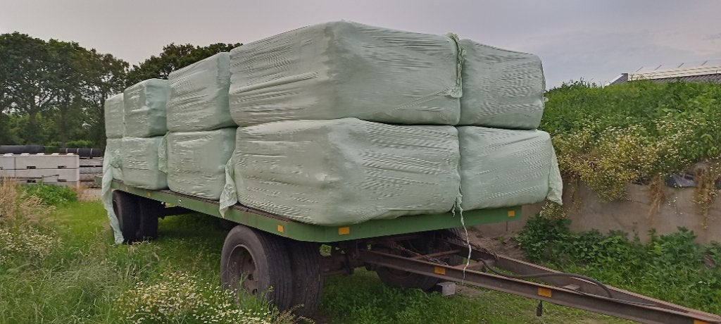 Hooi balen, Dieren en Toebehoren, Paarden, Merrie, Minder dan 160 cm, 0 tot 2 jaar