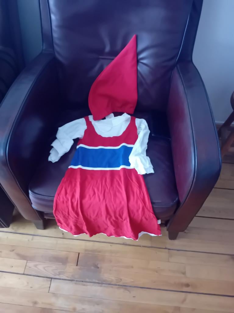 Jurk van roodkapje maat 104 /110, Kinderen en Baby's, Carnavalskleding en Verkleedspullen, Ophalen, Gebruikt, 110 t/m 116, Meisje